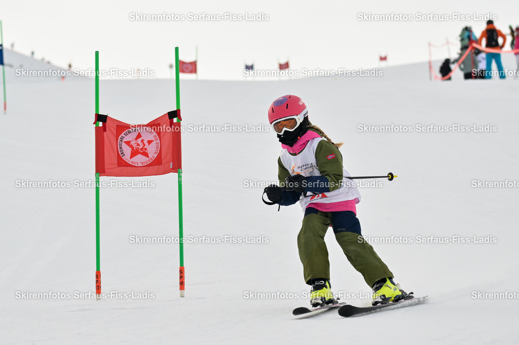 SRS_02.01.2026_0305 | SRS_02.01.2026_0305 - Realisiert mit Pictrs.com