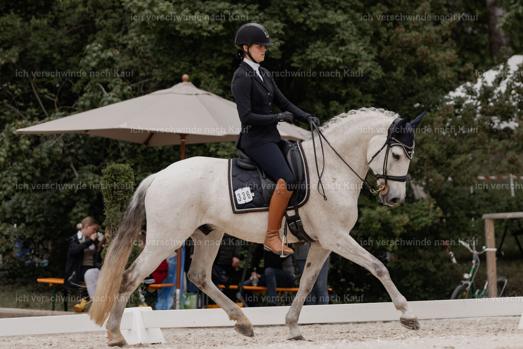 WE_DR_Stoib_336_PI2025_755 | Pferd International München 2025