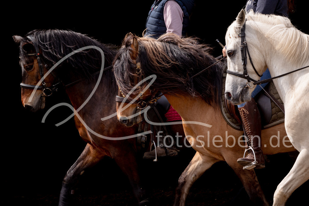 846A0922 | fotosleben - Realisiert mit Pictrs.com