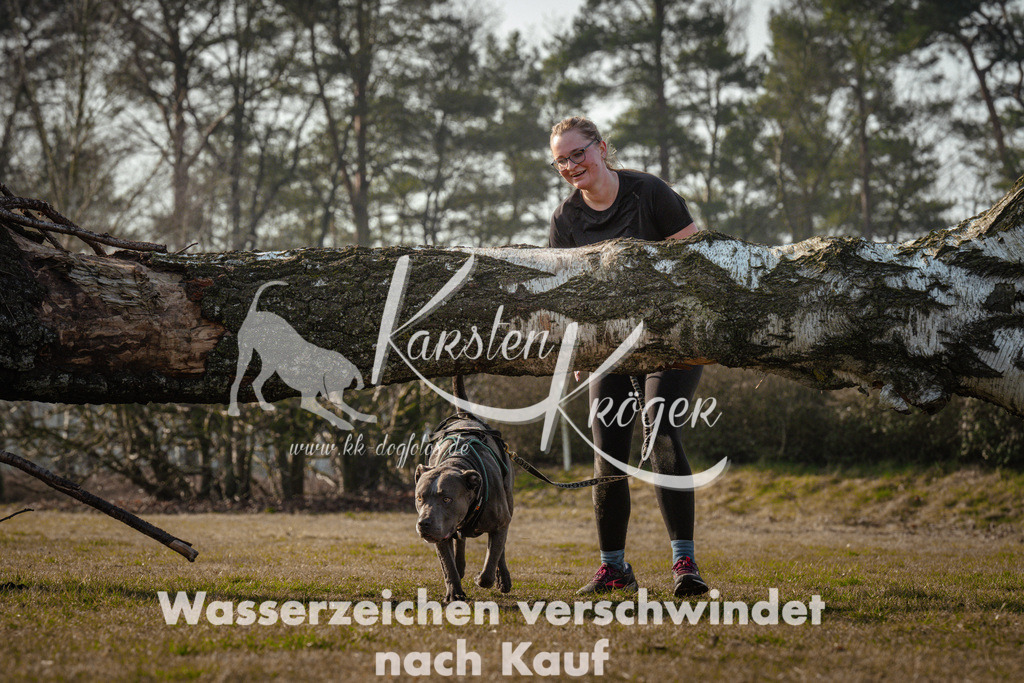0944_ZZ99846 | kk-dogfotos