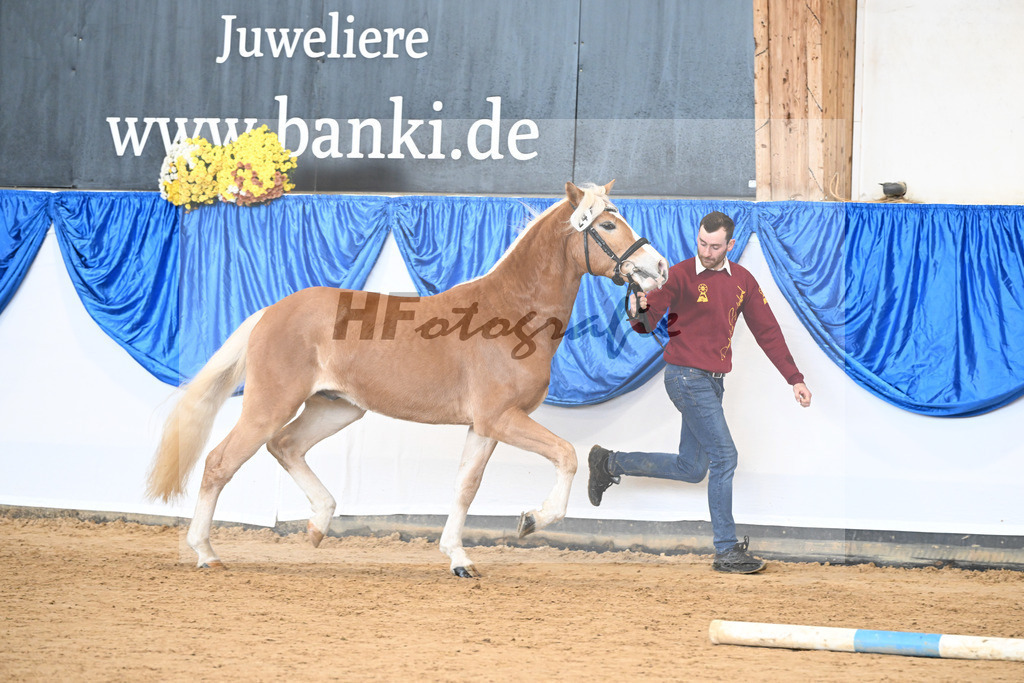 Kat-Nr. 24 nn v. Walkman M_Hartmann_48251036 | hf-fotografie - Realisiert mit Pictrs.com