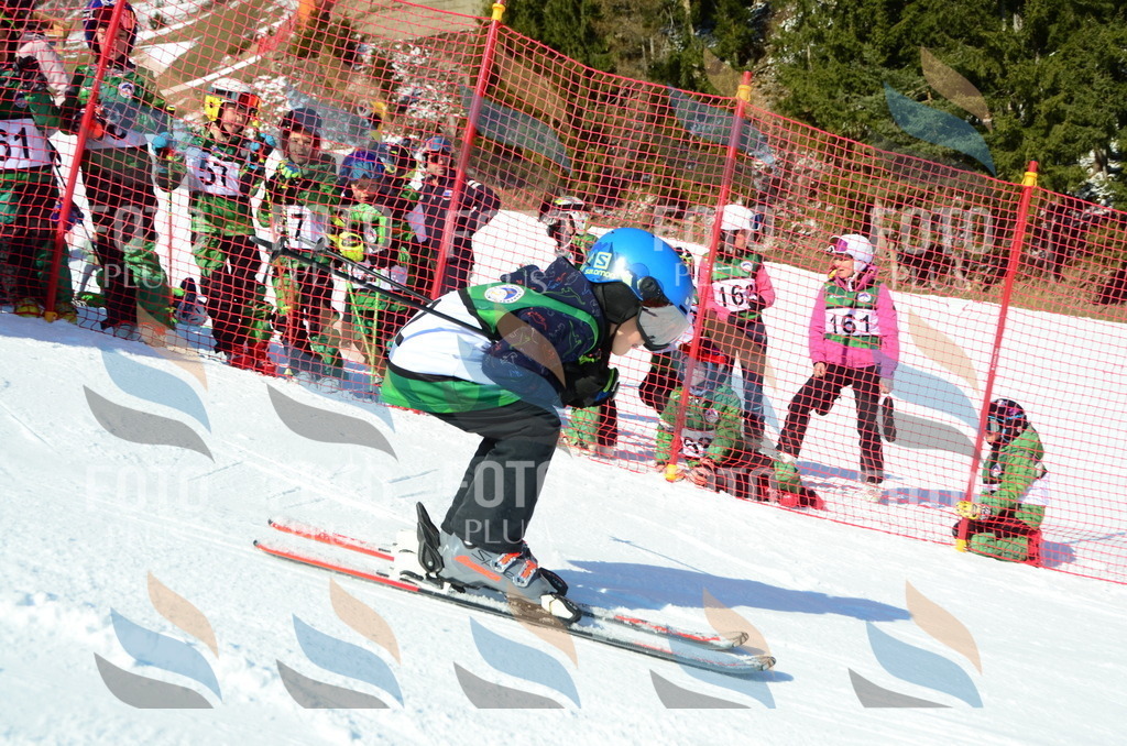 C4917 | holidayphoto