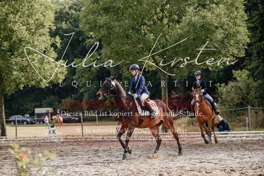 DSC_9149 | Pferde- und Turnierfotografie in Westsachsen. Pferdeportraits, Auftragszeichnungen und intuitive Kunst.