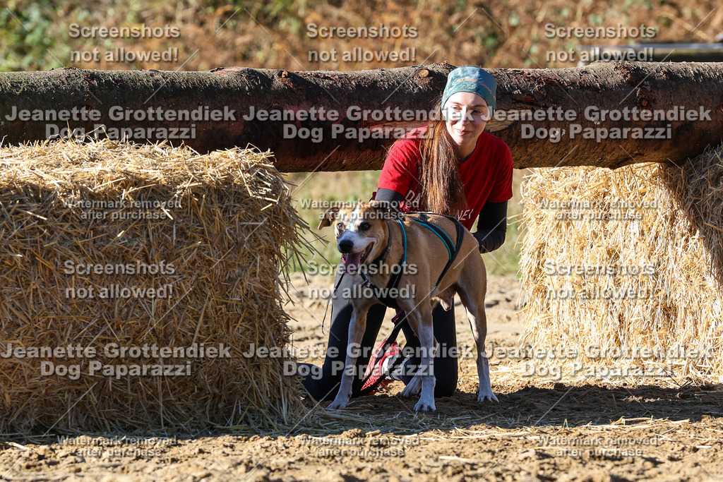 Dog Paparazzi - Strongdog 10-25-2223 | Dog Paparazzi Jeanette Grottendiek Fotografie & Videografie - Realisiert mit Pictrs.com