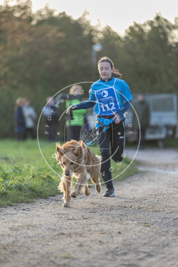 Pfotenfotografie.de_DV3A2509 | Hundefotografie, Tierfotograf, Pfotenfotografie, Fotoshooting Hund, Hunde Portrait, Hundesport, Hundeportraits, Heideshooting, Hunde, Sportfotograf, Hundefotograf, Turnierhundsport, THS, canicross - Realisiert mit Pictrs.com