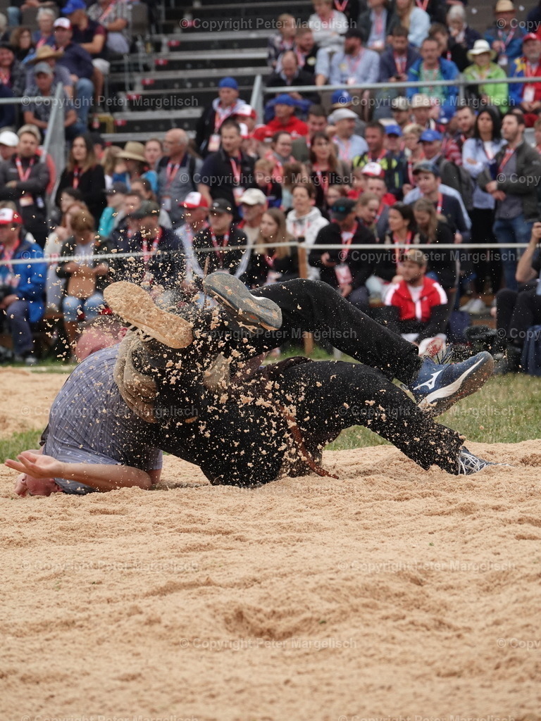 DSC04875 | Schwingen - Realisiert mit Pictrs.com