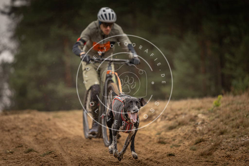 Pfotenfotografie_DV3A4397 | Hundefotografie, Tierfotograf, Pfotenfotografie, Fotoshooting Hund, Hunde Portrait, Hundesport, Hundeportraits, Heideshooting, Hunde, Sportfotograf, Hundefotograf, Turnierhundsport, THS,  - Realisiert mit Pictrs.com