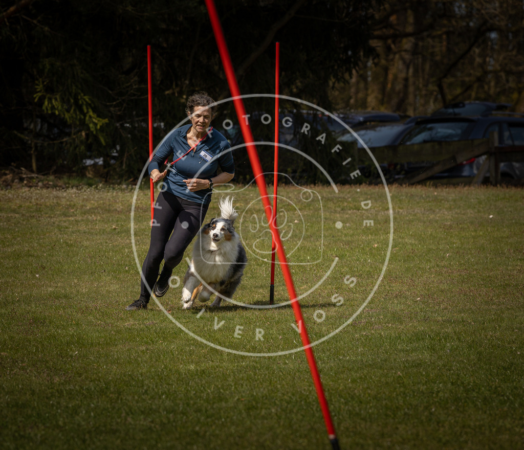 Pfotenfotografie_DV3A4260 | Hundefotografie, Tierfotograf, Pfotenfotografie, Fotoshooting Hund, Hunde Portrait, Hundesport, Hundeportraits, Heideshooting, Hunde, Sportfotograf, Hundefotograf, Turnierhundsport, THS,  - Realisiert mit Pictrs.com