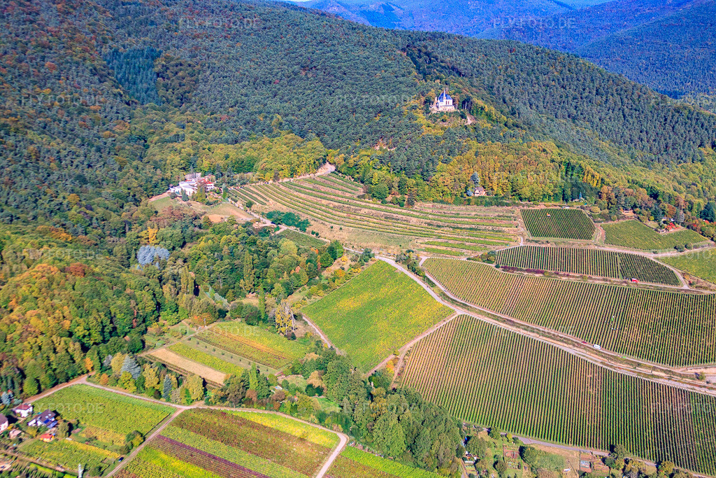 Luftbild: St.-Anna-Kapelle über dem Weingut St. Annaberg in Burrweiler im Bundesland Rheinland-Pfalz in Deutschland. Foto: IMG_22261.jpg vom 15.10.2009 durch Werner Riehm/FLY-FOTO.de