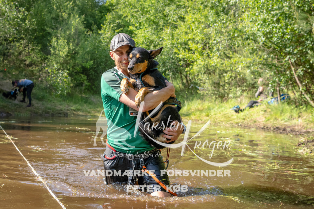 1650DKK991273 | kk-dogfotos