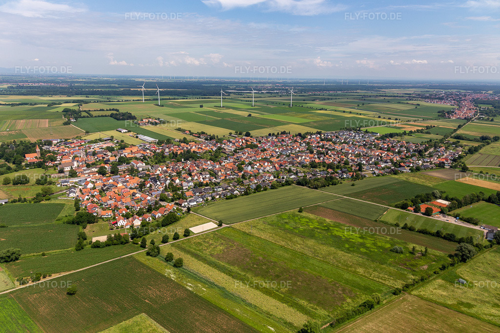 Luftbild: Ortsansicht am Rande von landwirtschaftlichen Feldern und Nutzflächen in Minfeld im Bundesland Rheinland-Pfalz in Deutschland. Foto: IMG_127219.jpg vom 26.06.2021 durch Werner Riehm/FLY-FOTO.de