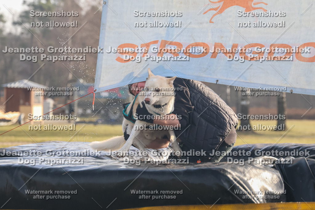 Dog Paparazzi - SD North 0326 900930-178 | Dog Paparazzi Jeanette Grottendiek Fotografie & Videografie - Realisiert mit Pictrs.com