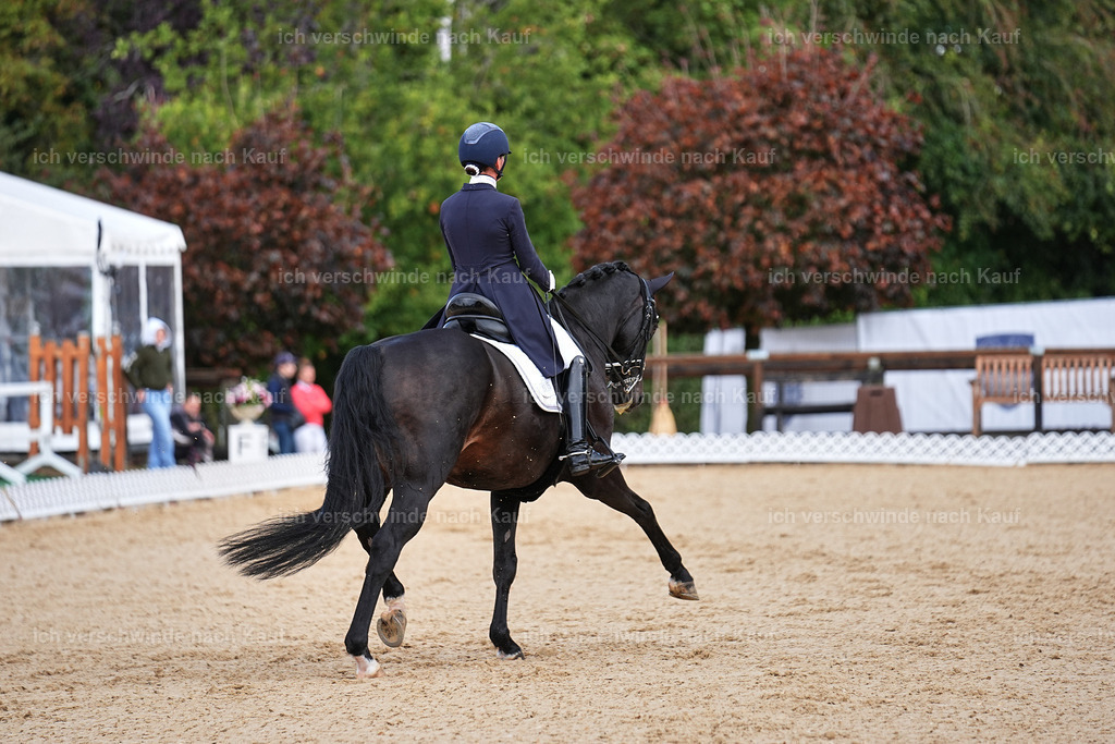 10-115-ST.GEORG SPECIAL -Marixx-3349 | working equitationturnier fotograf videograf stoibphotography marixx film working equitation deutschland reitsport turnierfotografie eventfotografie equestrian events