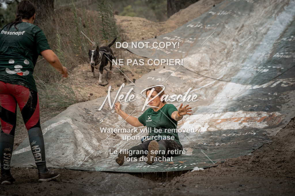 nelerasche_sa1600-1700_377 | nelerasche