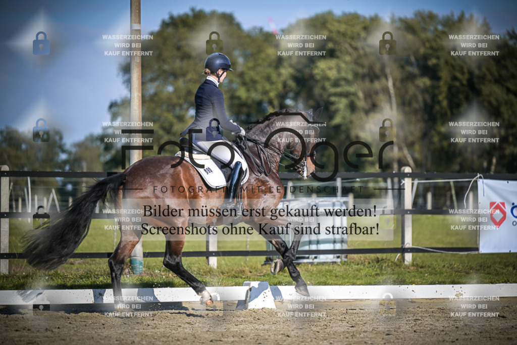 DOS_B823 | Entdecke hochwertige Reitturnierfotos von Foto Oger. Professionell, emotional und authentisch – jetzt Lieblingsmomente im Shop bestellen.Deutschlandweite Turnierfotografie. - Realisiert mit Pictrs.com