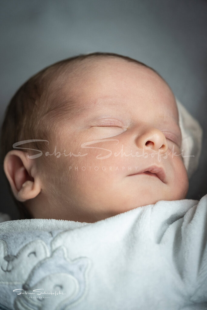 Lian | People- und Tierfotografie, Imageaufnahmen, Veranstaltungsfotografie und Wandbilder aus der Natur ★ Made in Germany ✔️ Druck + Downloads ✔️ Naturfotografie in Top Qualität ★ schneller Versand, weltweite Lieferung! - Realisiert mit Pictrs.com