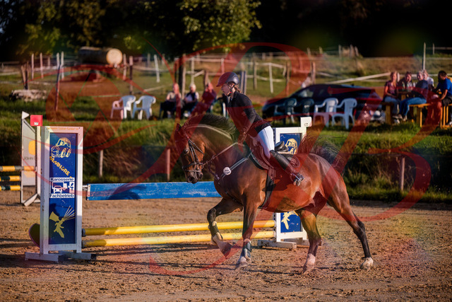 2026_10_03_Siefer-Hof_171023_Z81_07077846 | Professionelle Reitsport-, Turnier- und Eventfotografie von Robert Broda. Galerien mit ausgewählten und bearbeiteten Bildern direkt online ansehen und bestellen.