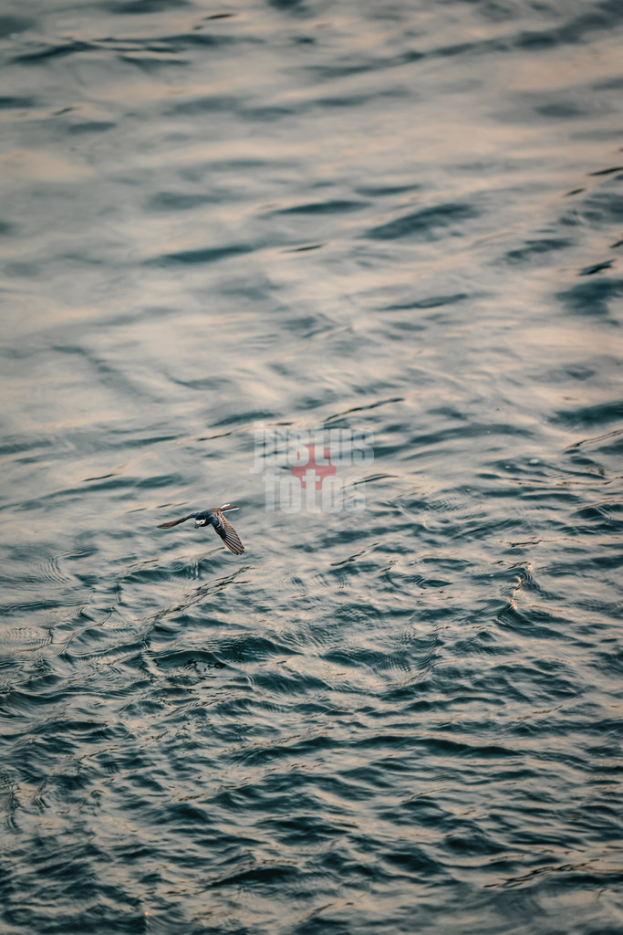 @justus.fotos-20230630-DSC09104 | sportfotografie mit justus stegemann