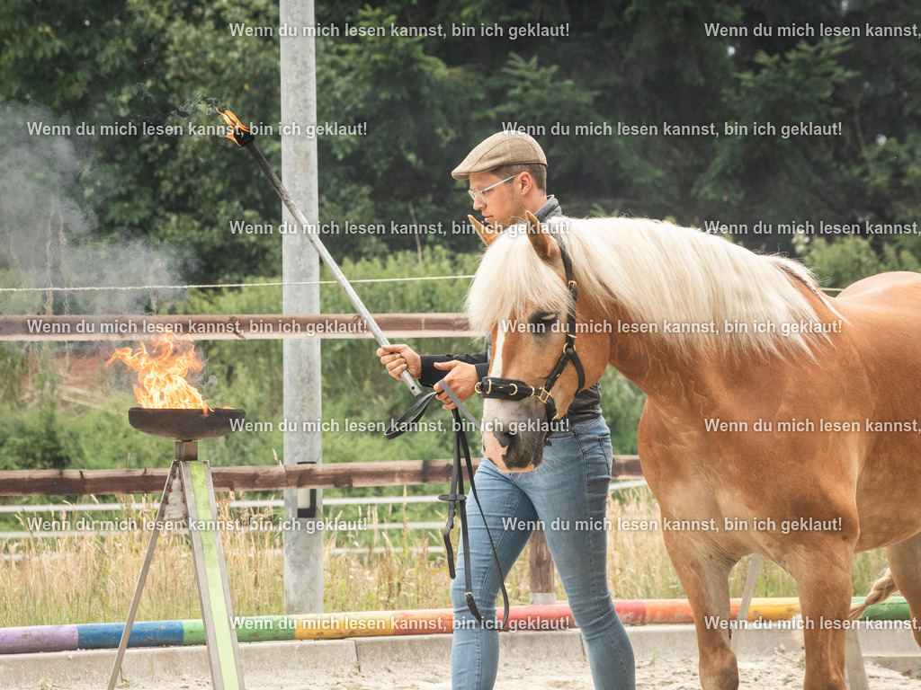 598A7798 | photographylinaismer - Realisiert mit Pictrs.com