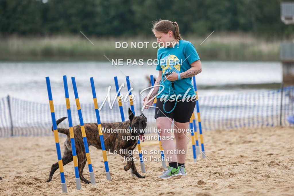 nelerasche_BuHu2026_So1530-Ende_107 | nelerasche