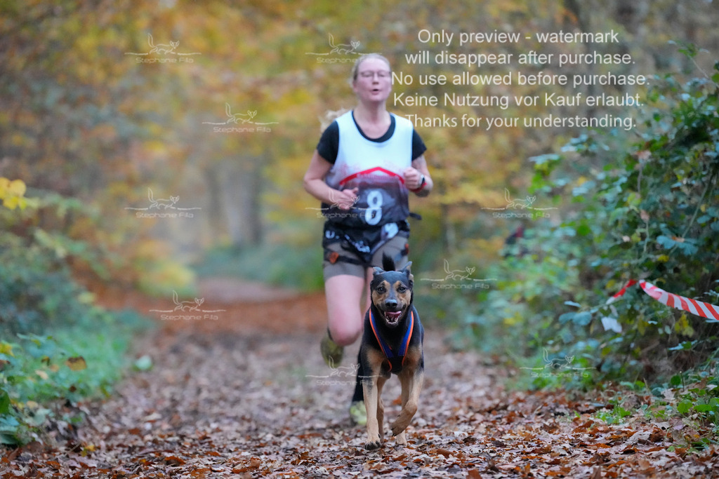 CC_So-41 | stephaniefillaphotographie - Realisiert mit Pictrs.com