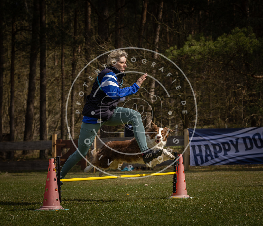 Pfotenfotografie_DV3A3245 | Hundefotografie, Tierfotograf, Pfotenfotografie, Fotoshooting Hund, Hunde Portrait, Hundesport, Hundeportraits, Heideshooting, Hunde, Sportfotograf, Hundefotograf, Turnierhundsport, THS,  - Realisiert mit Pictrs.com