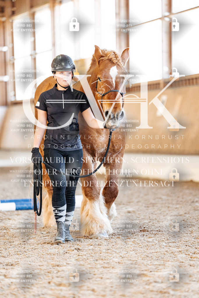 CK906349 | Turnierfotografie Pferdefotografie Trier Rheinland-Pfalz Pferdesport Reitsport Tierfotografie Sportfotografie Pferdevideo Pferdevideografie Equestrianvideography equestrianphotography  - Realisiert mit Pictrs.com