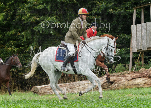 Jagd Perdoel_MarinaHewigMCH03982 | Fotografie, FotoArt, PferdesportArt, Pferdesportfotografie, Landschaftsfotografie, Reisefotografie, Reise, Pferde - Realisiert mit Pictrs.com