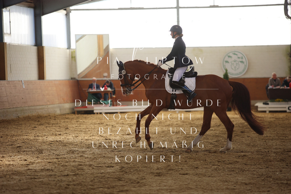 IMGT9768 | pl-fotografie