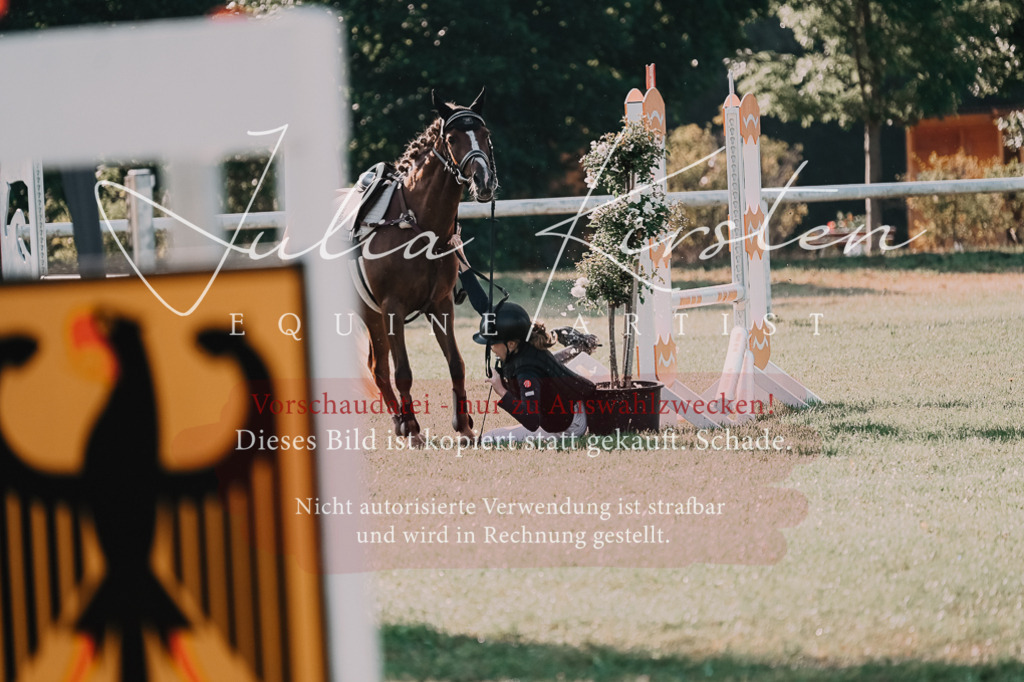 DSC_4455 | Pferde- und Turnierfotografie in Westsachsen. Pferdeportraits, Auftragszeichnungen und intuitive Kunst.