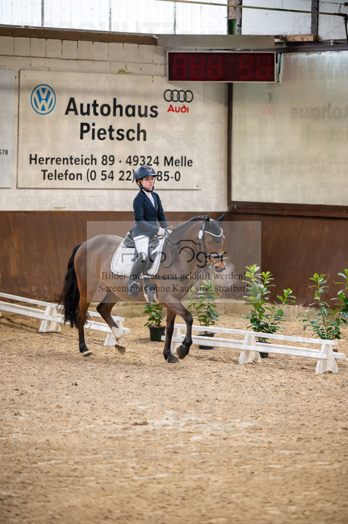 Hallenreittunier Voxtrup 2023 | Entdecke hochwertige Reitturnierfotos von Foto Oger. Professionell, emotional und authentisch – jetzt Lieblingsmomente im Shop bestellen.Deutschlandweite Turnierfotografie. - Realisiert mit Pictrs.com