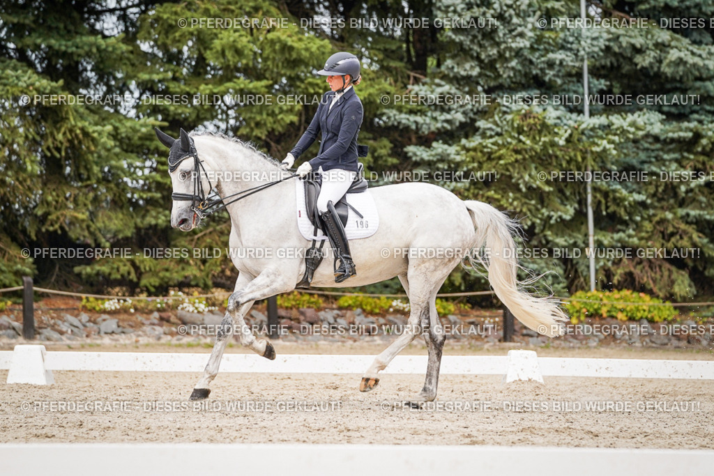 DSC07756 | Pferdegrafie