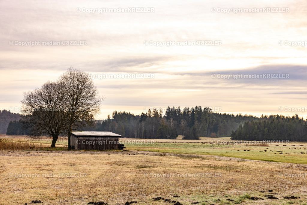 _J3A9901 | medienkrizzler - Realisiert mit Pictrs.com