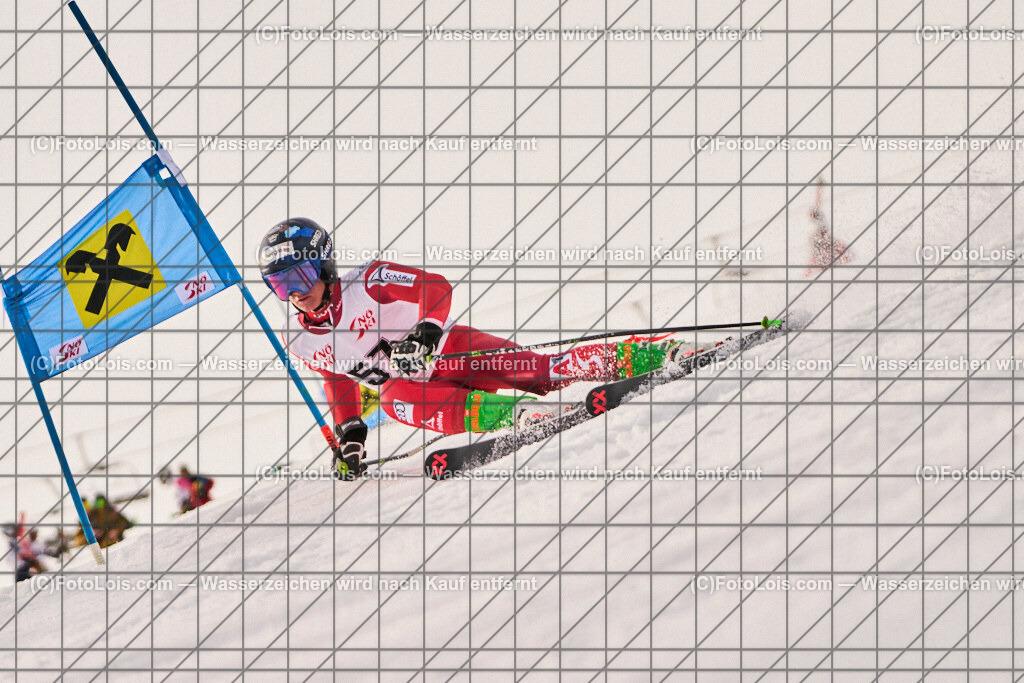 ALP8550_Herrn-FIS-GS-I_Lackenhof-WY_Steinkellner Jonas | Internationaler FIS GiantSlalom der Herrn auf der Distelpiste in Lackenhof am Mo 10. März 2025.  Österreich, LSV-NÖ, Sportunion Waidhofen/Ybbs (2035).