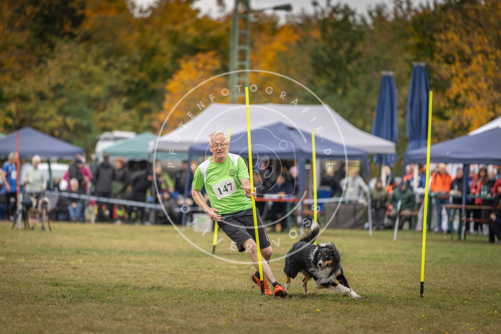 Pfotenfotografie_DV3A6497 | Hundefotografie, Tierfotograf, Pfotenfotografie, Fotoshooting Hund, Hunde Portrait, Hundesport, Hundeportraits, Heideshooting, Hunde, Sportfotograf, Hundefotograf, Turnierhundsport, THS,  - Realisiert mit Pictrs.com