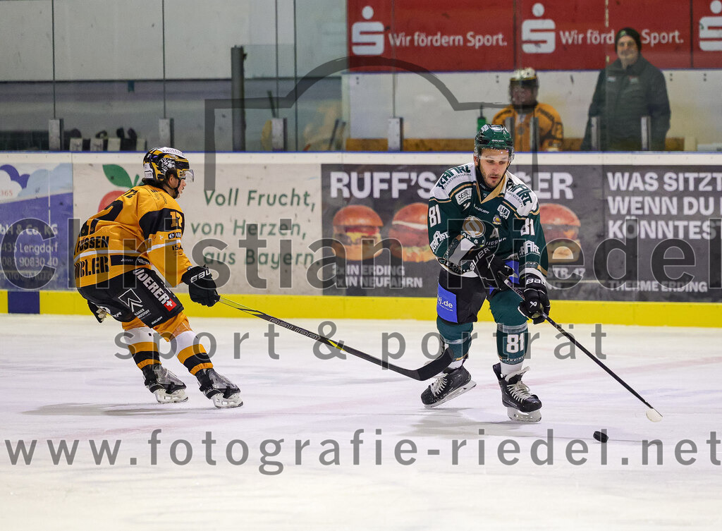 2025-11-02_049_TSV_Erding_gegen_EV_Fuessen | Erding, Deutschland, 02.11.2025:Eishockey, Oberliga Süd 2025 / 2026, 15. Spieltag, TSV Erding gegen EV Füssen, Endergebnis: 2:6Pius Seitz (EV Füssen, #17), Maximilian Forster (Erding Gladiators, #81)Foto: Christian Riedel / fotografie-riedel.net