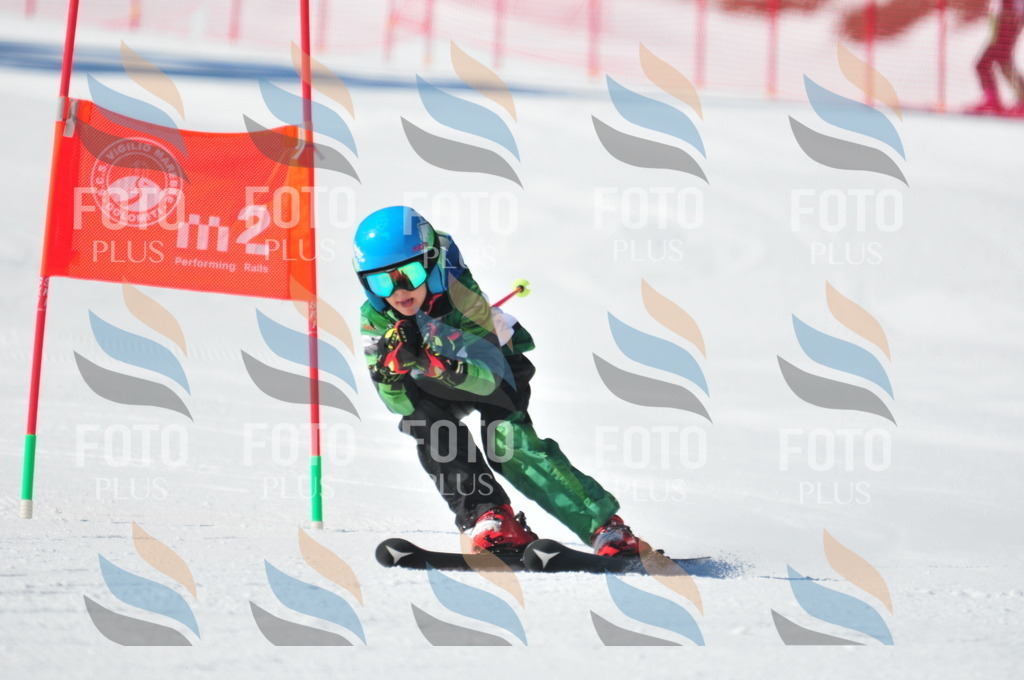 C3127 | holidayphoto