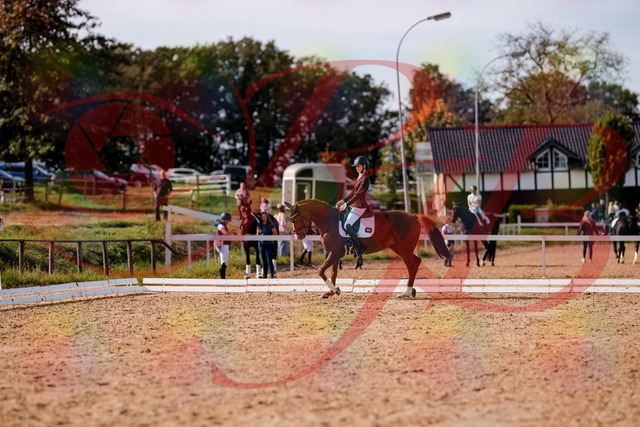 2026_10_03_Siefer-Hof_132717_Z81_81430284 | Professionelle Reitsport-, Turnier- und Eventfotografie von Robert Broda. Galerien mit ausgewählten und bearbeiteten Bildern direkt online ansehen und bestellen.