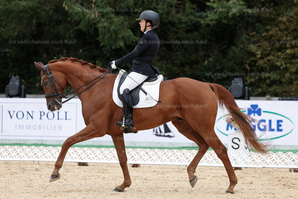3-111-Dressur M_-StoibPH-2313 | working equitationturnier fotograf videograf stoibphotography marixx film working equitation deutschland reitsport turnierfotografie eventfotografie equestrian events