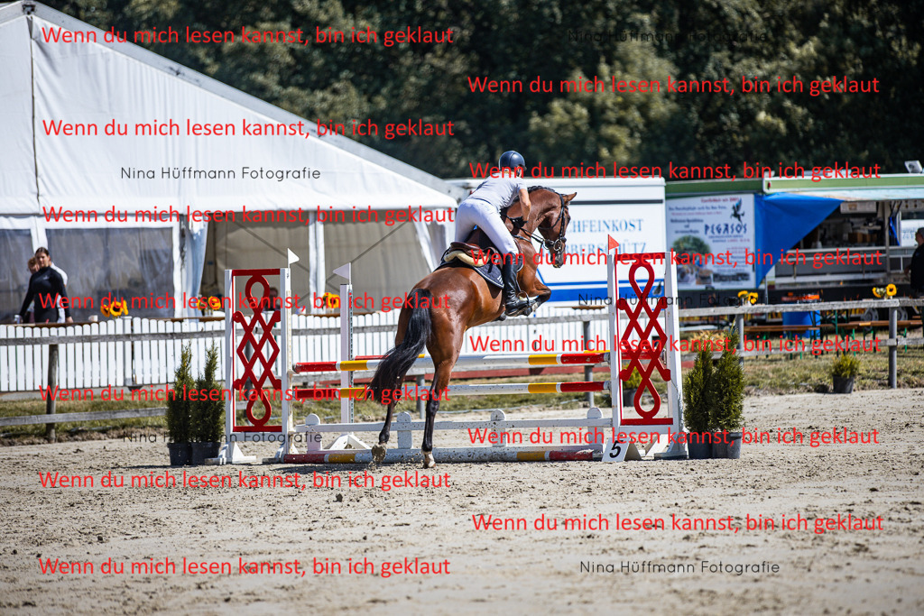 BK1A5220 | Turnierbilder Turnierfotos Nina Hüffmann Turnierfotografie Pferdefotografie Tierzeichnung Haustierzeichnung Pferdezeichnung Hundezeichnung Videograf  - Realisiert mit Pictrs.com