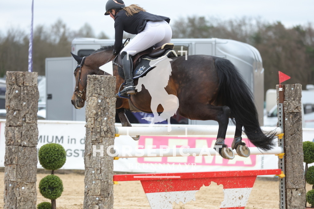 0P6A4186 | Willkommen bei Brunnmayr - Design & Fotografie – Ihrem Spezialisten für Reitturniere und Pferdeveranstaltungen in Oberösterreich, Salzburg und Bayern! Seit über 17 Jahren sind wir leidenschaftlich dabei.