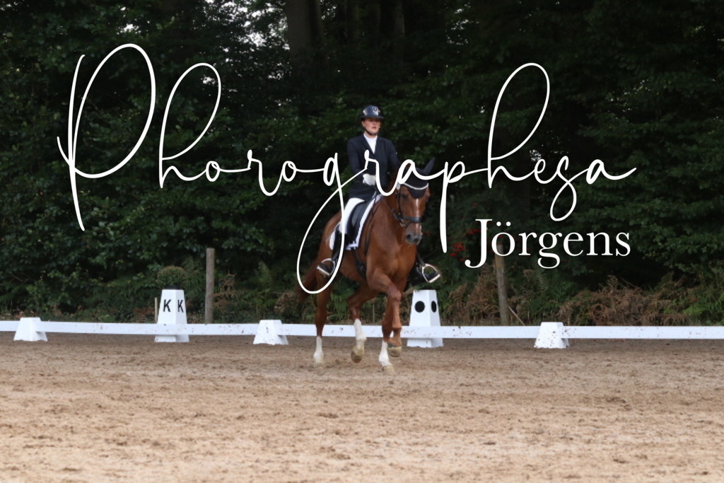 IMG_0292 | photographesa-joergens - Realisiert mit Pictrs.com