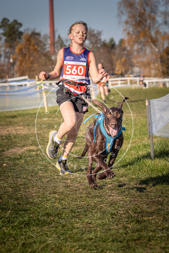 CaniXpix_0L8A7855 | Hundefotografie, Tierfotograf, Pfotenfotografie, Fotoshooting Hund, Hunde Portrait, Hundesport, Hundeportraits, Heideshooting, Hunde, Sportfotograf, Hundefotograf, Turnierhundsport, THS,  - Realisiert mit Pictrs.com