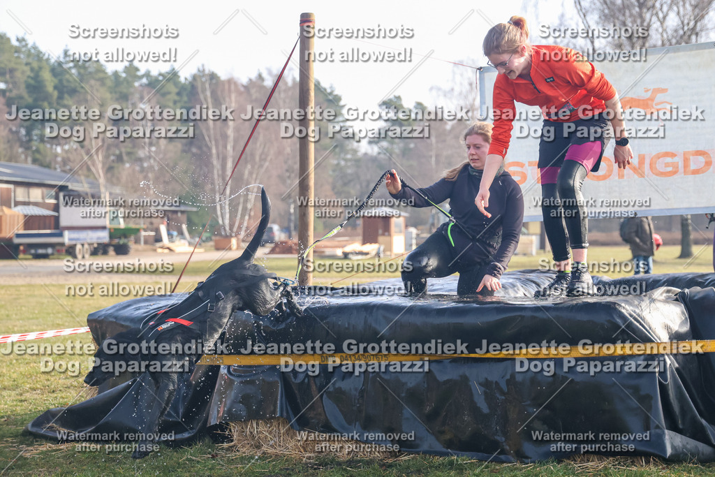 Dog Paparazzi - Strongdog North Mrz26-21 | Dog Paparazzi Jeanette Grottendiek Fotografie & Videografie - Realisiert mit Pictrs.com