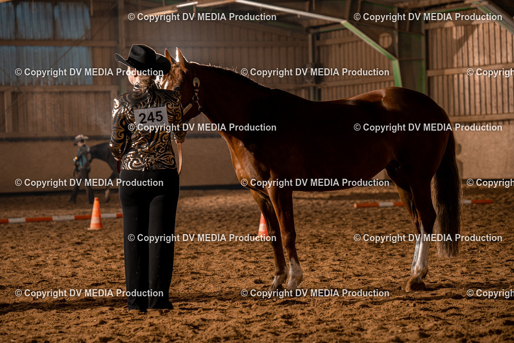 BAL01207 | dv-media-shop - Realisiert mit Pictrs.com