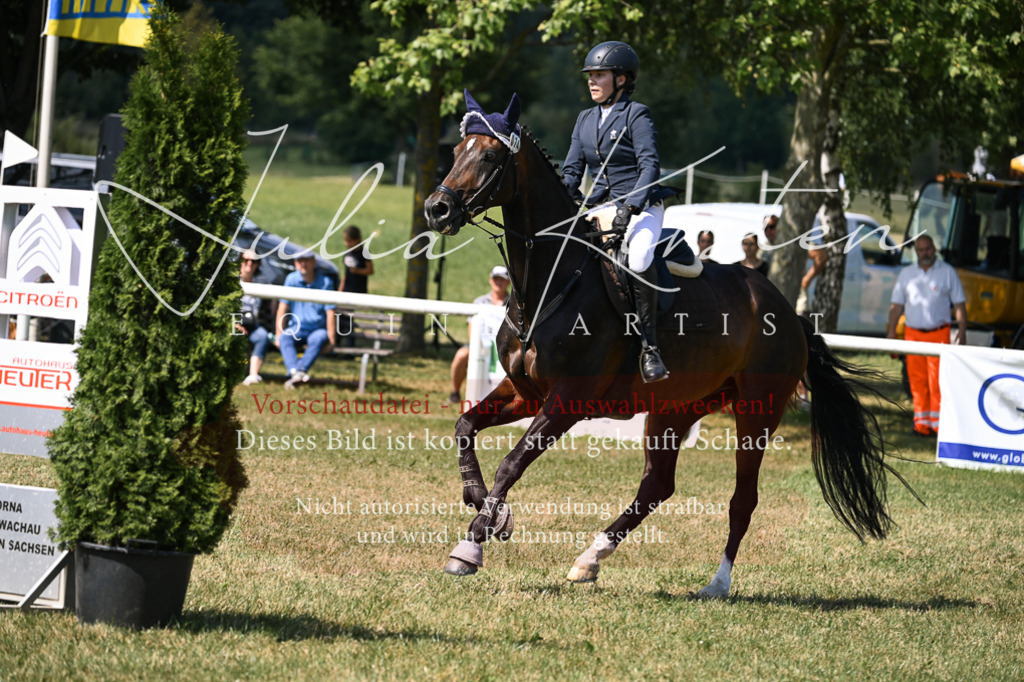 DSC_0489 | Pferde- und Turnierfotografie in Westsachsen. Pferdeportraits, Auftragszeichnungen und intuitive Kunst.