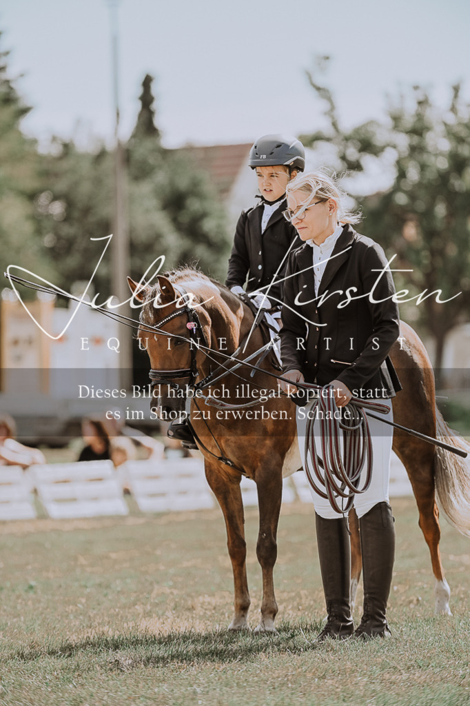 DSC_7646 | Pferde- und Turnierfotografie in Westsachsen. Pferdeportraits, Auftragszeichnungen und intuitive Kunst.