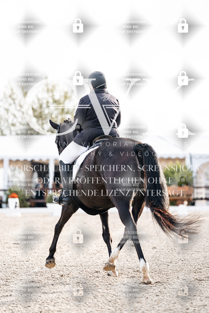 CK900363 | Turnierfotografie Pferdefotografie Trier Rheinland-Pfalz Pferdesport Reitsport Tierfotografie Sportfotografie Pferdevideo Pferdevideografie Equestrianvideography equestrianphotography  - Realisiert mit Pictrs.com