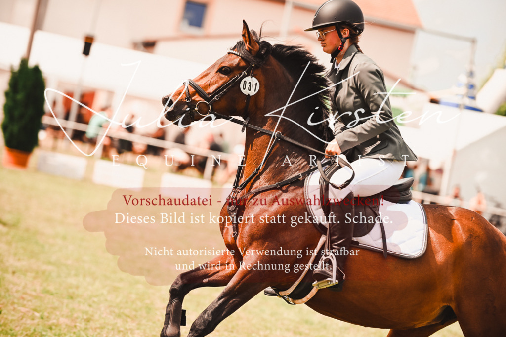 DSC_6903 | Pferde- und Turnierfotografie in Westsachsen. Pferdeportraits, Auftragszeichnungen und intuitive Kunst.