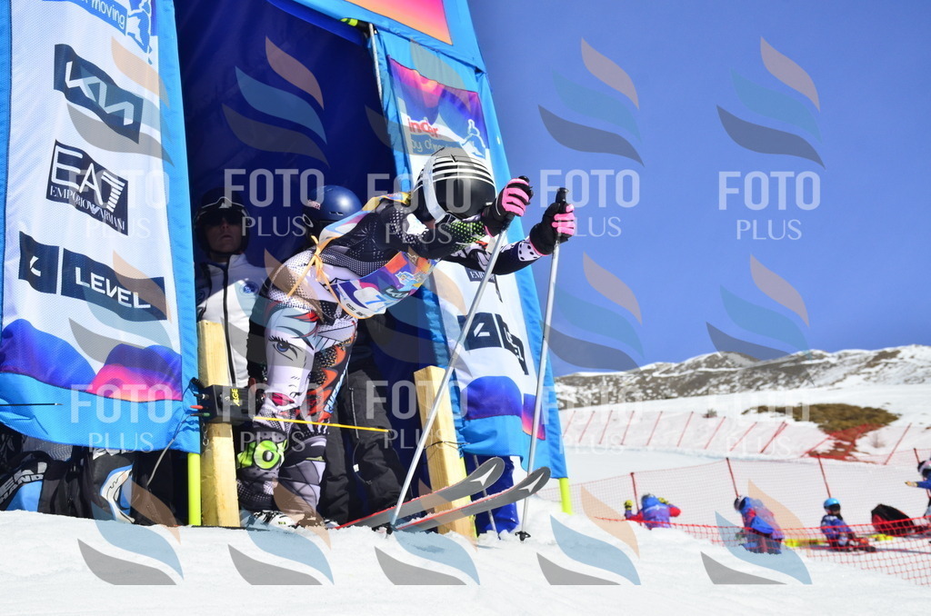 _ELE0330 | holidayphoto